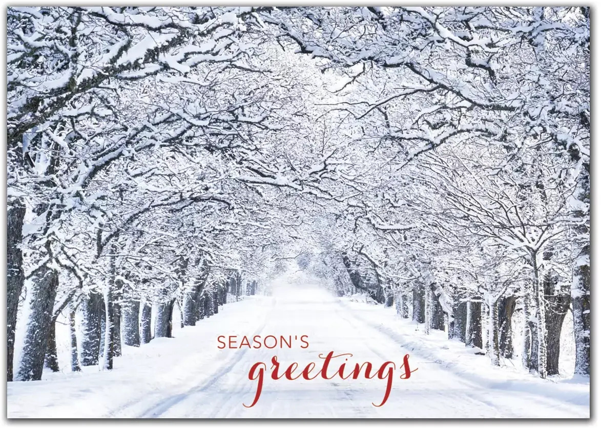 Custom Snowy Tree Lane Holiday Cards