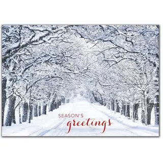 Custom Snowy Tree Lane Holiday Cards