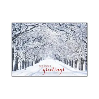 Custom Snowy Tree Lane Holiday Cards