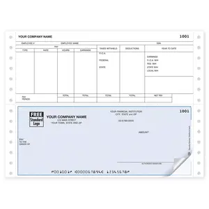 Continuous Payroll Check with Year to Date Column