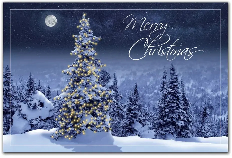 Custom Printed Christmas Postcards - Simply Stunning Moonlight