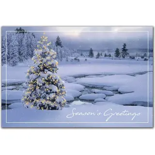 Custom Holiday Postcards - Breathtaking Winter Scene