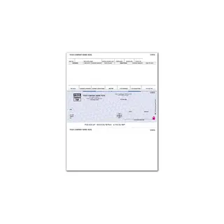 Laser Peachtree Payroll Checks