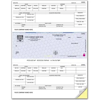 Laser Dynamics Payroll Checks with Logo