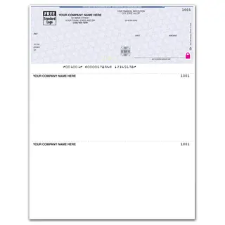 Laser Personalized Checks on Secure Paper