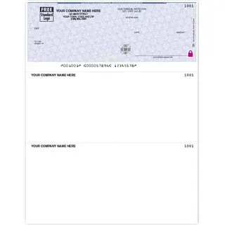 Laser Sage 300 Checks with Secure Paper and Company Logo
