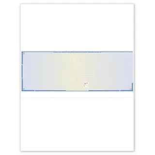 Security Middle Laser Checks ,Blank
