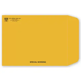 1013EK - Kraft Envelopes, Brown, Open End