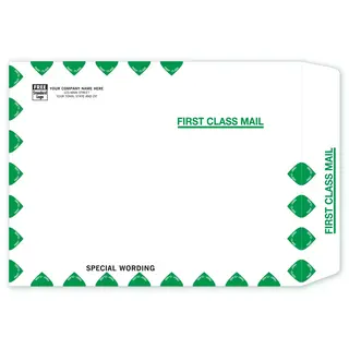TF1013 - Tyvek® First Class Mailing Envelopes, 10" x 13"