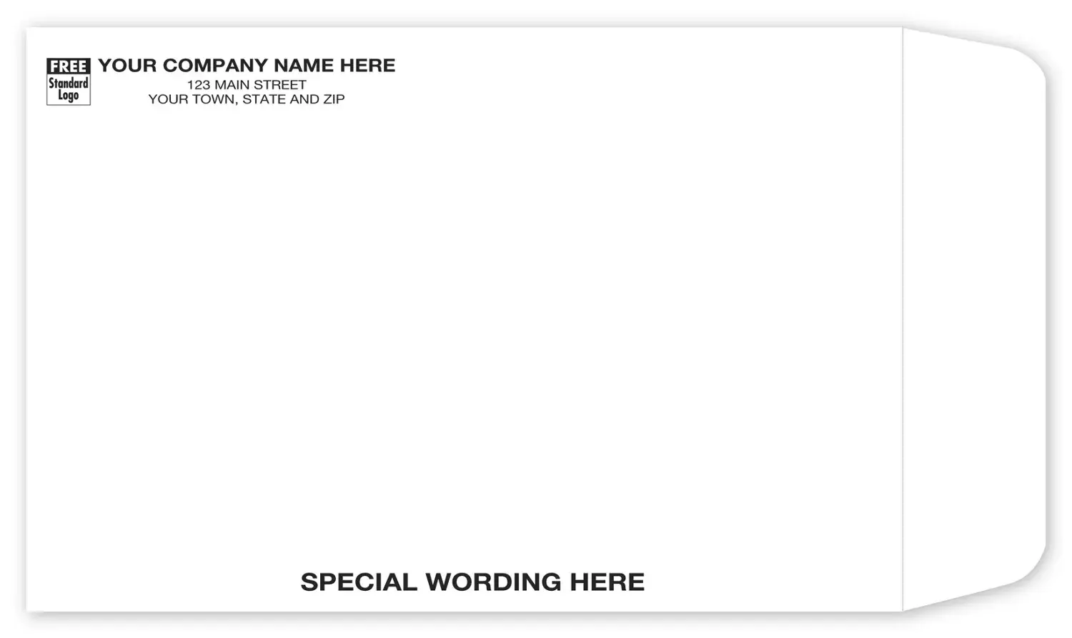 TP0069 - Custom White Tyvek® Envelopes