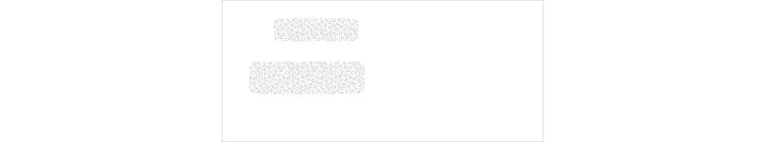 13841 - Two Window Business Envelopes