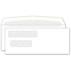 131041N, Double Window Envelope