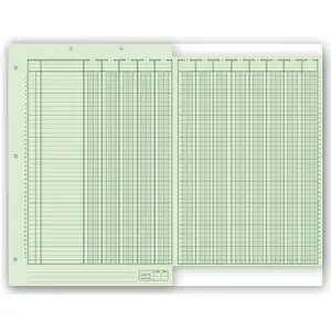 21126 - Columnar Work Sheets 