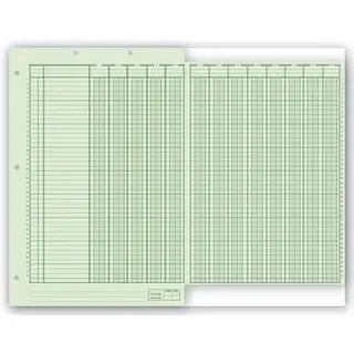21126 - Columnar Work Sheets 