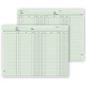 21119 - Accounting Ledger Sheets - Double Entry