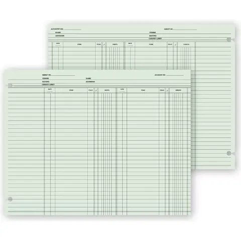 21119 - Accounting Ledger Sheets - Double Entry