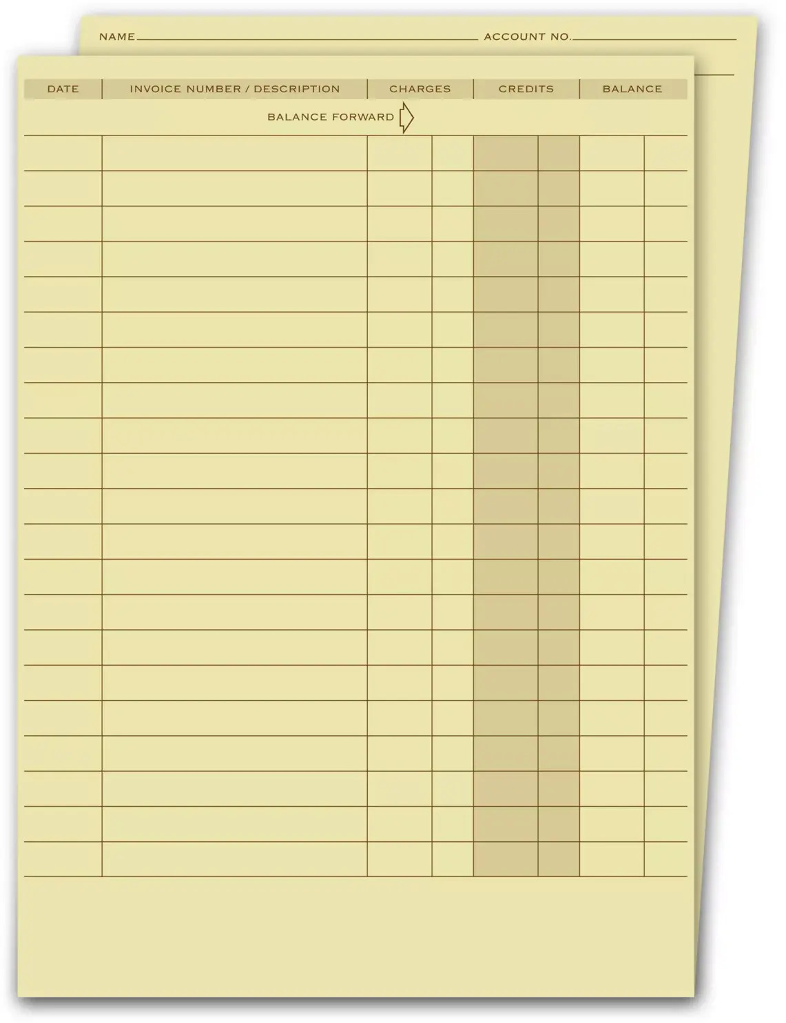 Business Ledger Folders