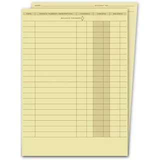 Business Ledger Folders