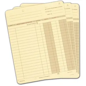 99 - Accounting Ledger Cards