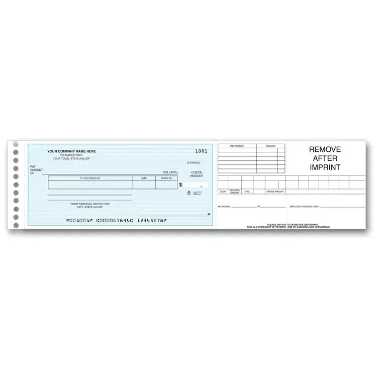 One write checks for expenses or payroll
