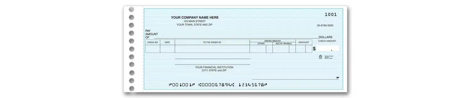 One write accounts payable checks