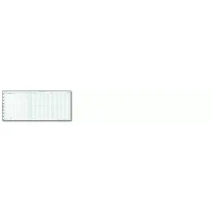 Large one write expense journals