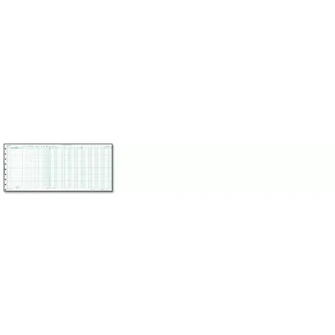 Large one write expense journals