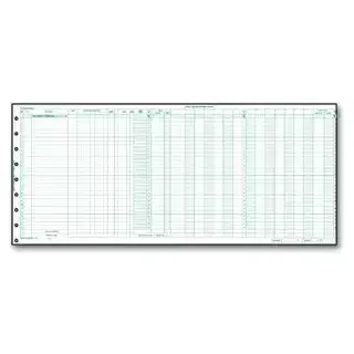 Large one write expense journals