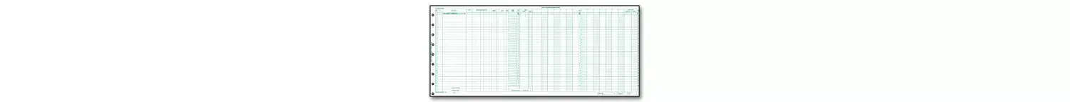 Large one write expense journals