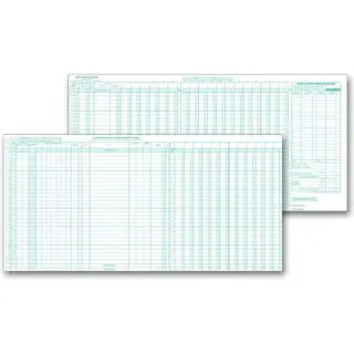 One write system payroll journals