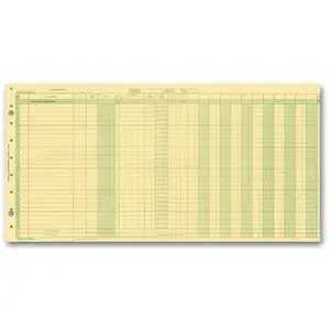 Yellow payroll journals for one write system