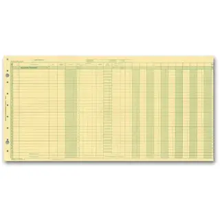 Yellow payroll journals for one write system