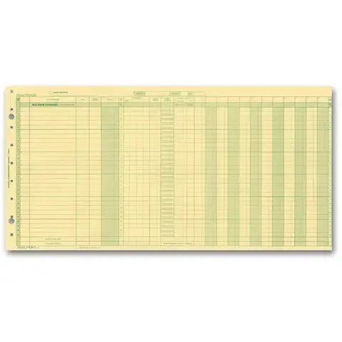 Yellow payroll journals for one write system
