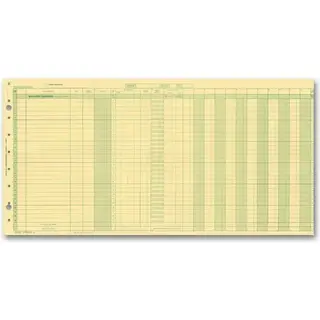 Yellow payroll journals for one write system