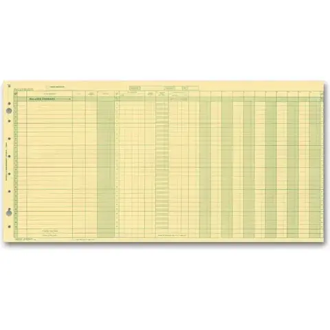 Yellow payroll journals for one write system