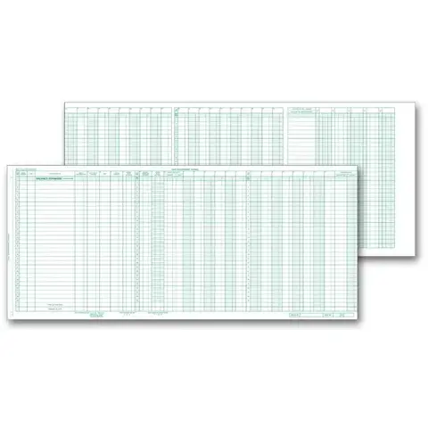 Accounts Payable Journals