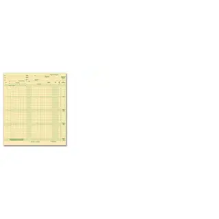 131031N - Expense/Payroll Ledger
