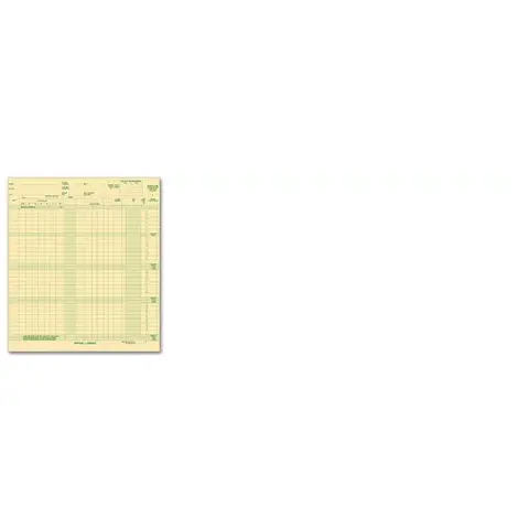 131031N - Expense/Payroll Ledger