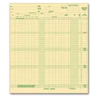 131031N - Expense/Payroll Ledger