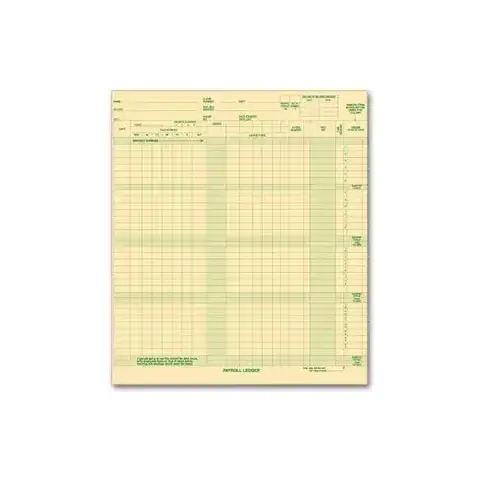 131031N - Expense/Payroll Ledger