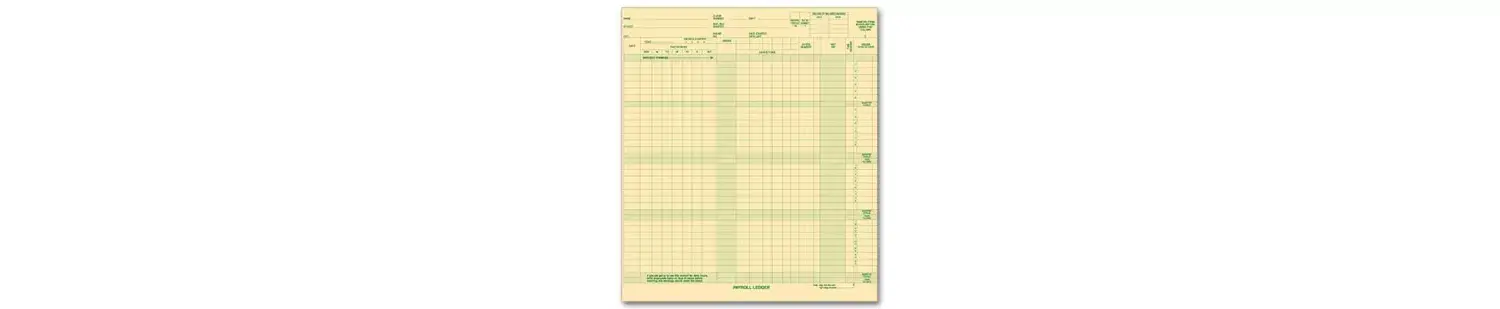 131031N - Expense/Payroll Ledger