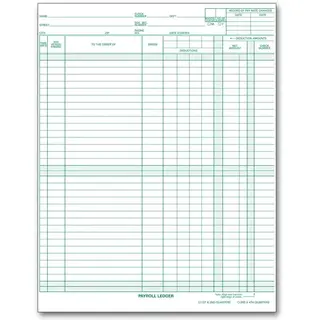 133031N - Payroll/Expense Ledger