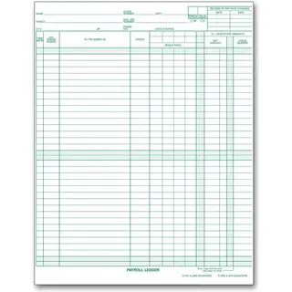 133031N - Payroll/Expense Ledger