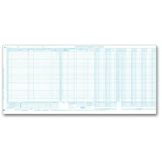 150DJ - Cash Disbursement and Payroll Journals