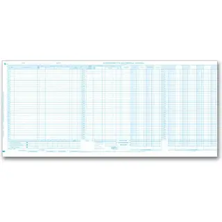 150DJ - Cash Disbursement and Payroll Journals