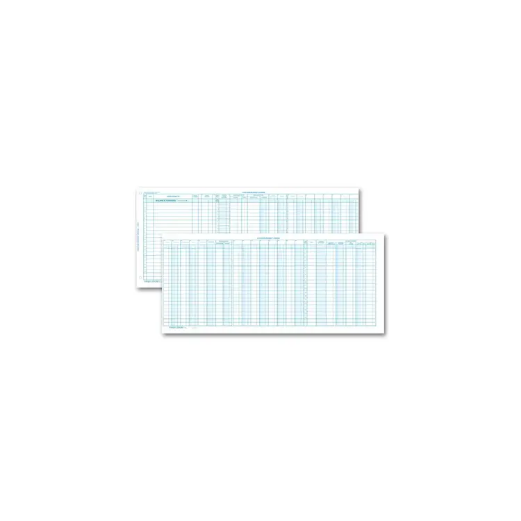 116NJ - One-Write System Accounting Journals - Personal Size 