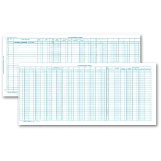 116NJ - One-Write System Accounting Journals - Personal Size 