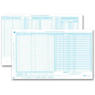 151NJ - Payroll & Disbursement Computer Input Journal Combo
