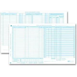 151NJ - Payroll & Disbursement Computer Input Journal Combo