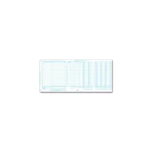 One-Write System Journals - Payroll & Cash Receipts